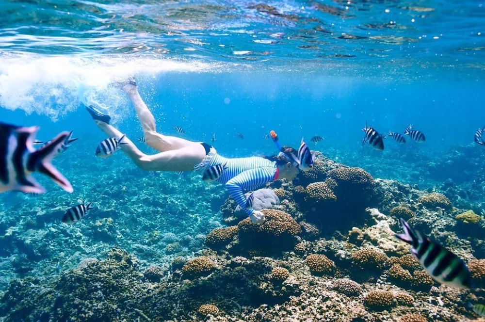 Sharm El Sheikh: Ras Mohamed & White Island Trip with Lunch | ®ExcursionMania