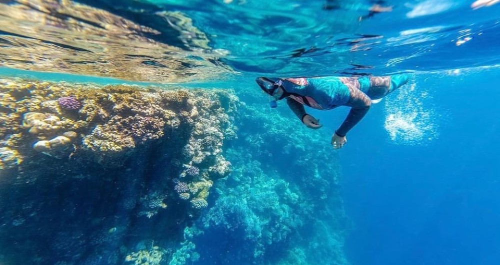 Sharm: Ras Mohammed Half Day Tour by Bus & Allahs gate | ®ExcursionMania