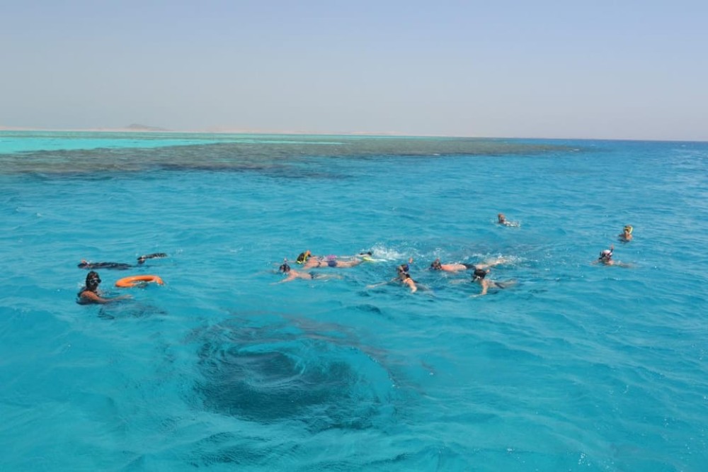 From Sharm: Ras Mohammed Cruise with Island Visit and Lunch | ®ExcursionMania