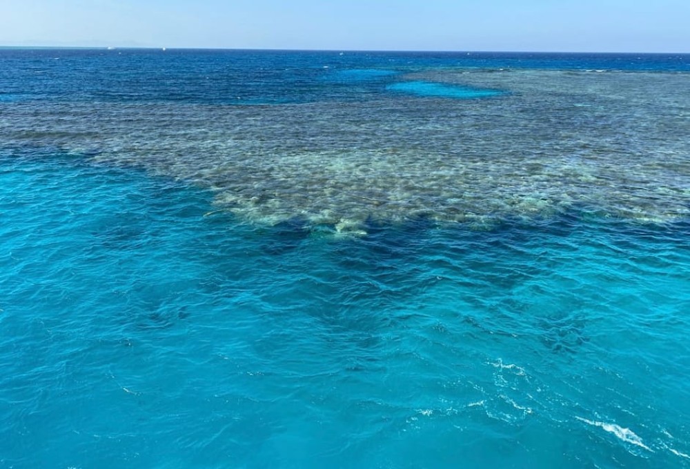 Sharm el-Sheikh: Premium Ras Mohammed & White Island Cruise | ®ExcursionMania