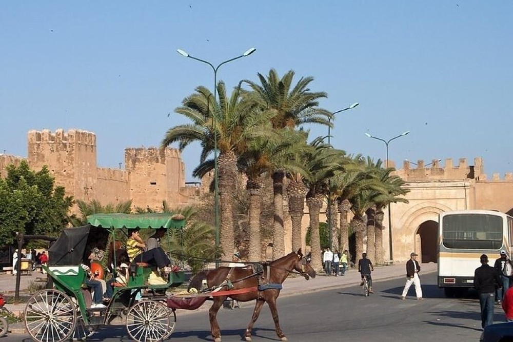 Agadir Morocco: Day Trip To Taroudant & Tiout Oasis with Lunch | ®ExcursionMania