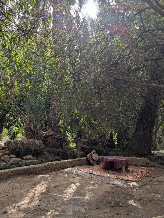 Agadir Morocco: Day Trip To Taroudant & Tiout Oasis with Lunch | ®ExcursionMania