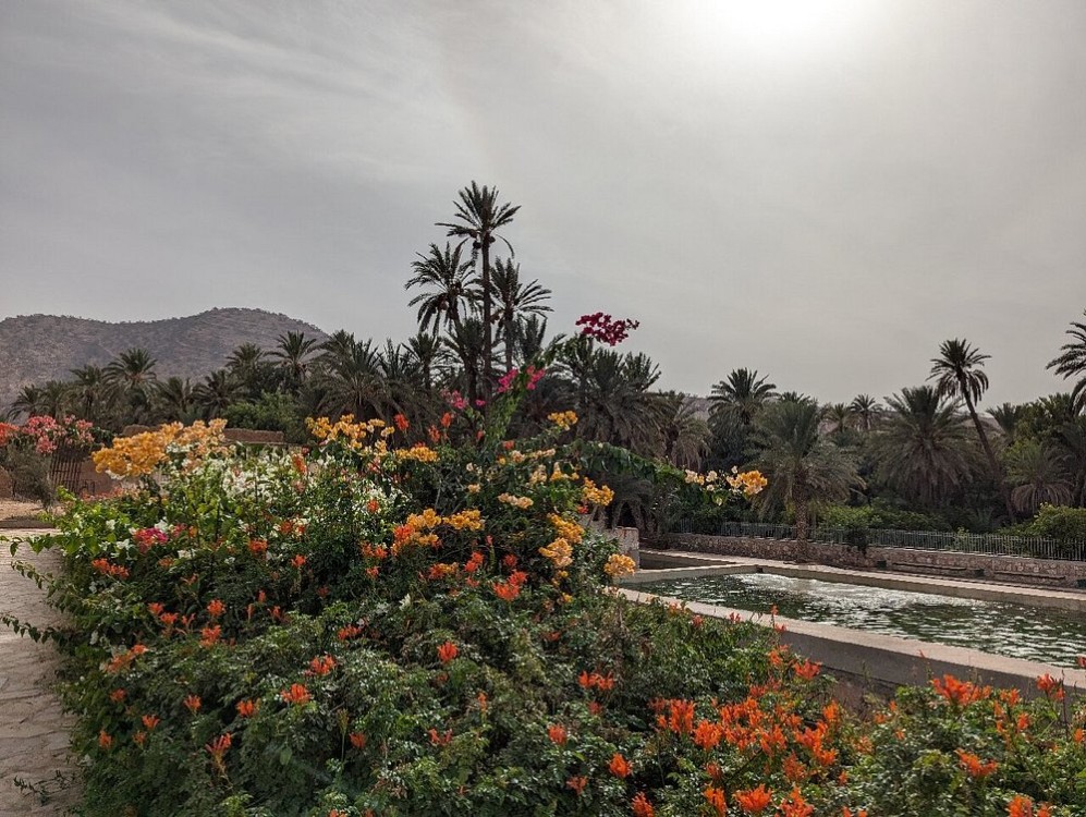 Agadir Morocco: Day Trip To Taroudant & Tiout Oasis with Lunch | ®ExcursionMania