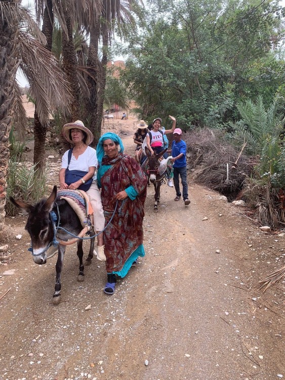 Agadir Morocco: Day Trip To Taroudant & Tiout Oasis with Lunch | ®ExcursionMania