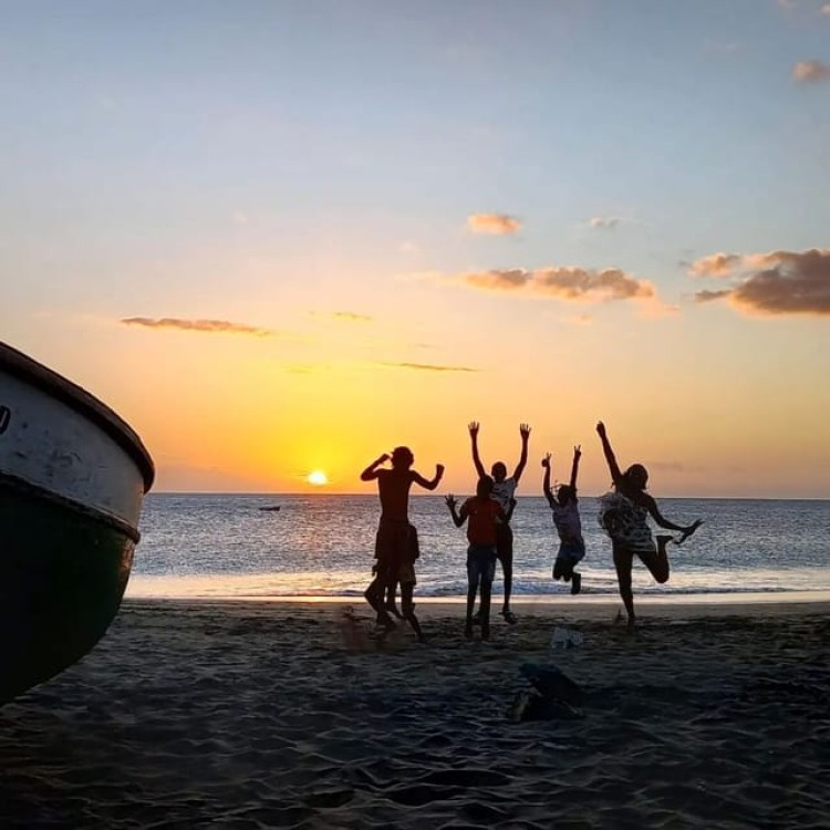 Mindelo: Sea Turtles Experience | ®ExcursionMania