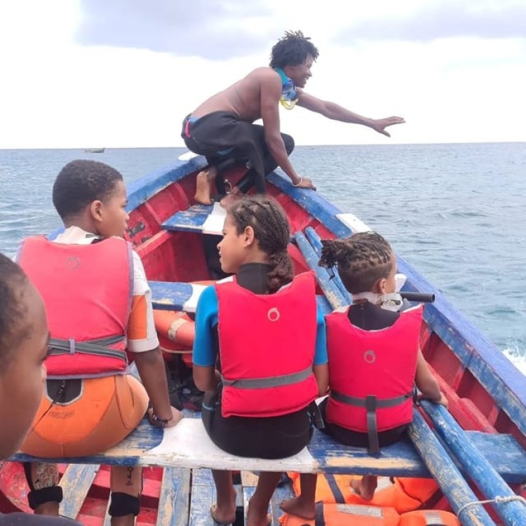Mindelo: Sea Turtles Experience | ®ExcursionMania