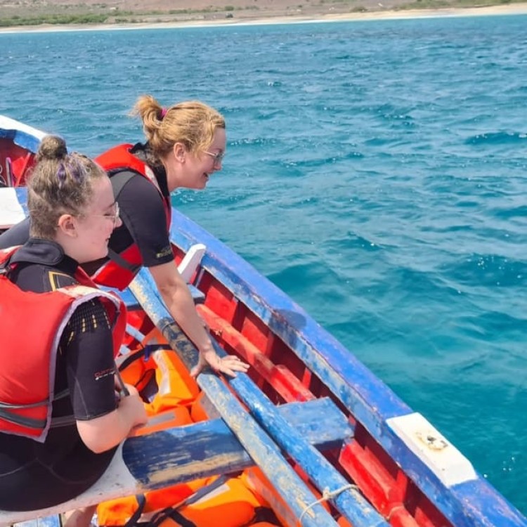 Mindelo: Sea Turtles Experience | ®ExcursionMania