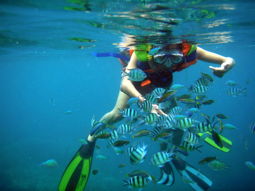 Marmaris Snorkeling Tour:  Discover Marmaris’ Secret Aquatic World | ®ExcursionMania