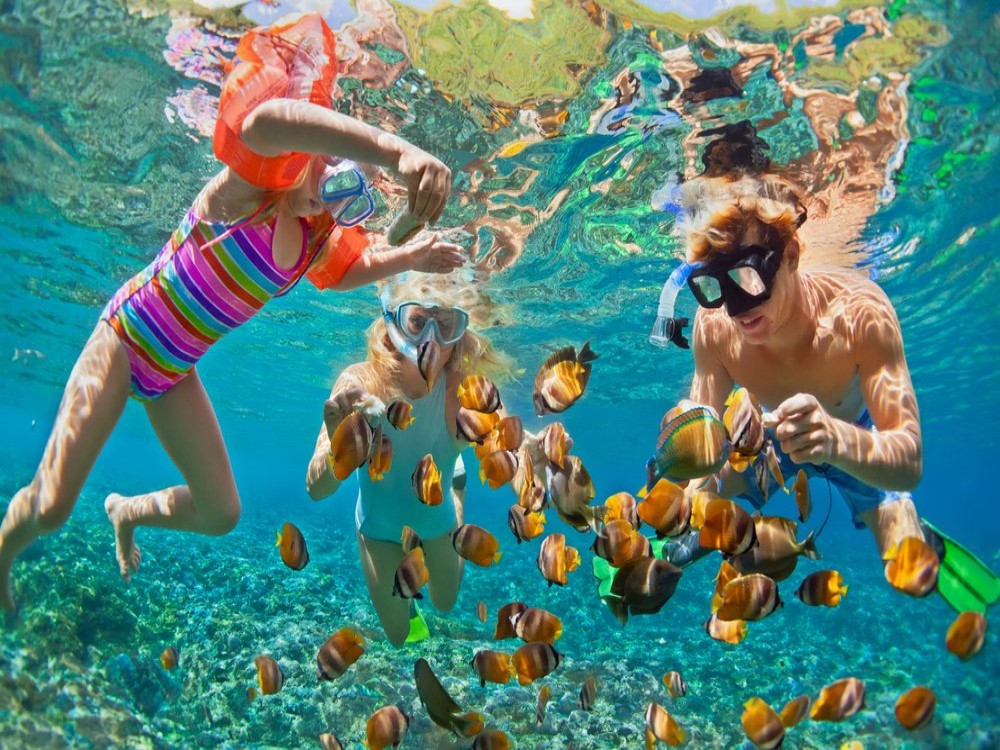 Marmaris: Marmaris Snorkeling Tour:  Discover Marmaris’ Secret Aquatic World | ®ExcursionMania