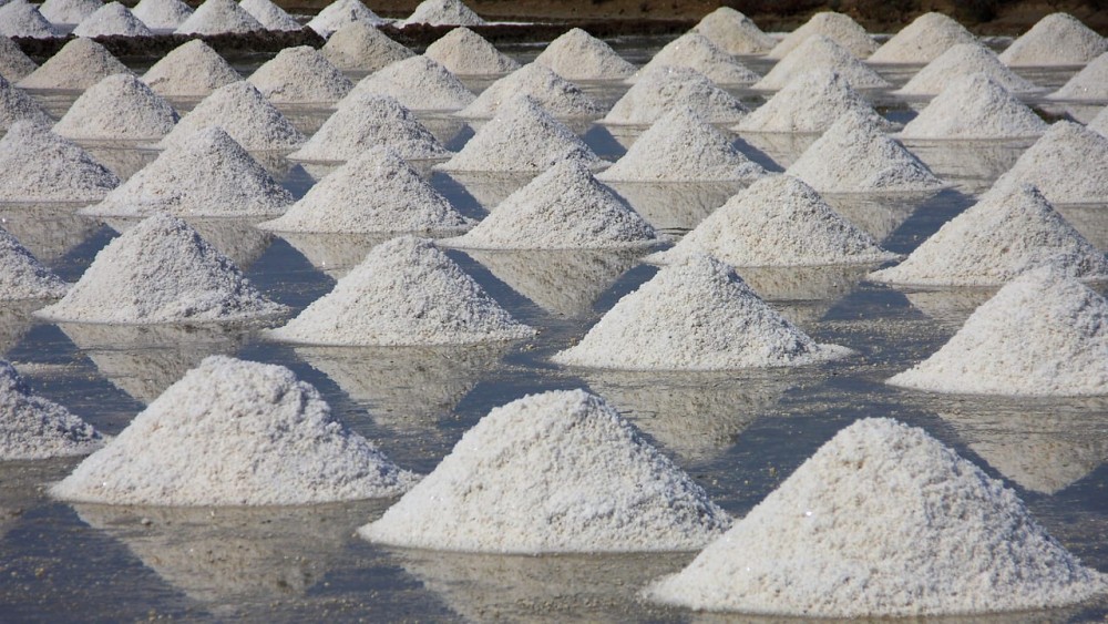 Salt Pans & Lemon Sharks Experience | ®ExcursionMania