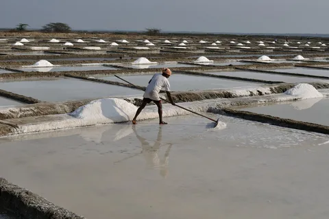 Salt Pans & Lemon Sharks Experience | ®ExcursionMania