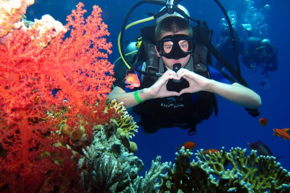 Hurghada: Intro Diving & Snorkeling Tour with Lunch & Drinks | ®ExcursionMania