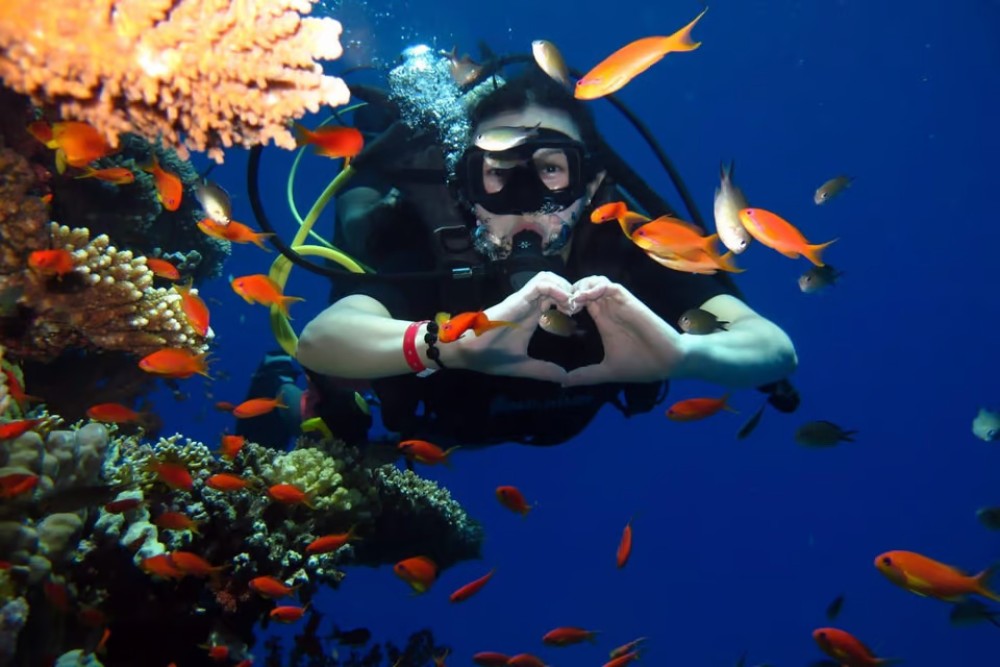 Hurghada: Intro Diving & Snorkeling Tour with Lunch & Drinks | ®ExcursionMania