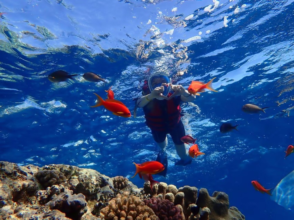 Hurghada: Dolphin Watching Snorkeling Cruise with Lunch | ®ExcursionMania