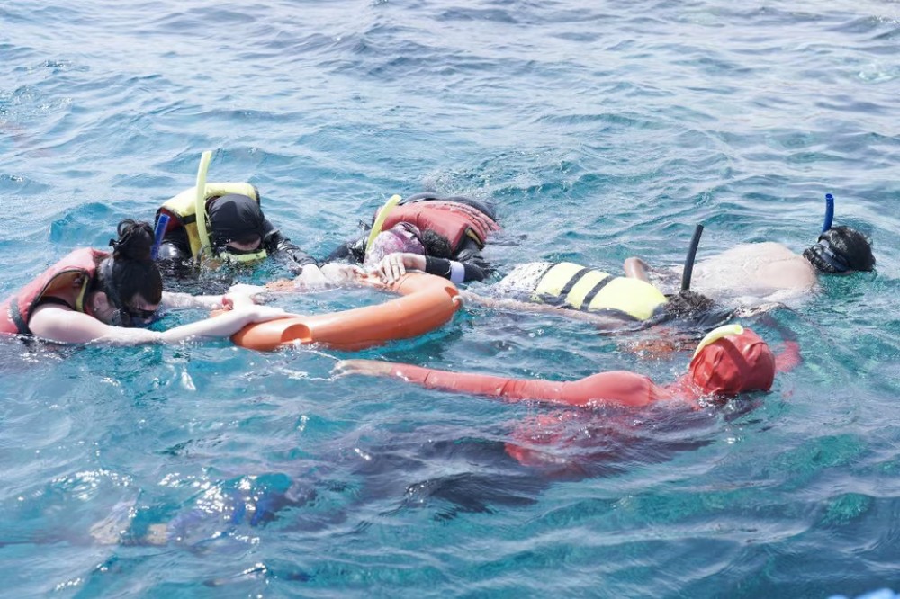 Hurghada: Dolphin Watching Snorkeling Cruise with Lunch | ®ExcursionMania