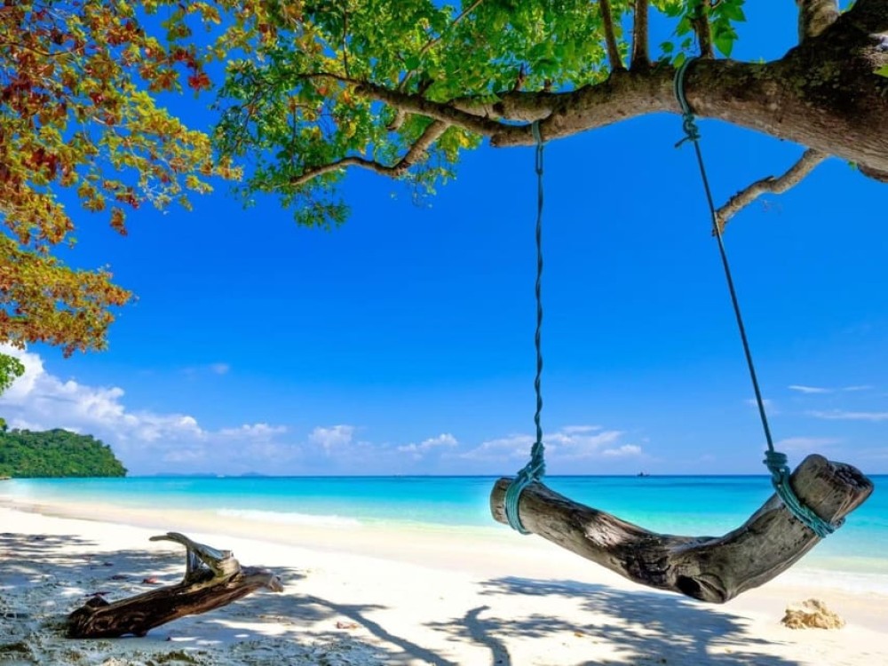 Phuket: Koh Rok and Koh Ha Day Trip Best of Marine Park | ®ExcursionMania