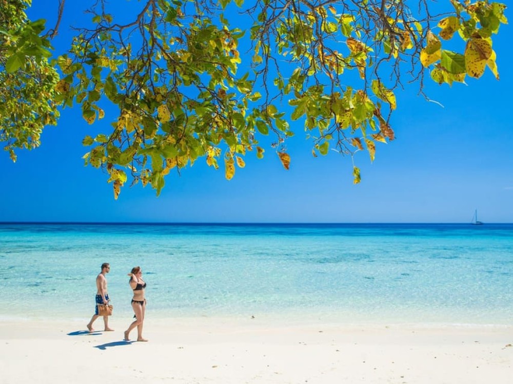 Phuket: Koh Rok and Koh Ha Day Trip Best of Marine Park | ®ExcursionMania