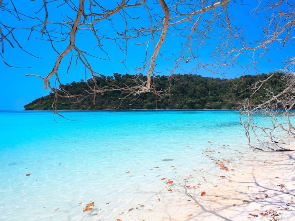 Phuket: Koh Rok and Koh Ha Day Trip Best of Marine Park | ®ExcursionMania