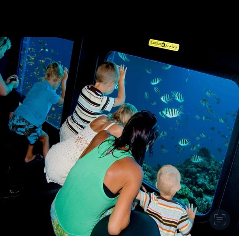 Sharm El-Sheikh: Royal Seascope Submarine Cruise with Pickup | ®ExcursionMania