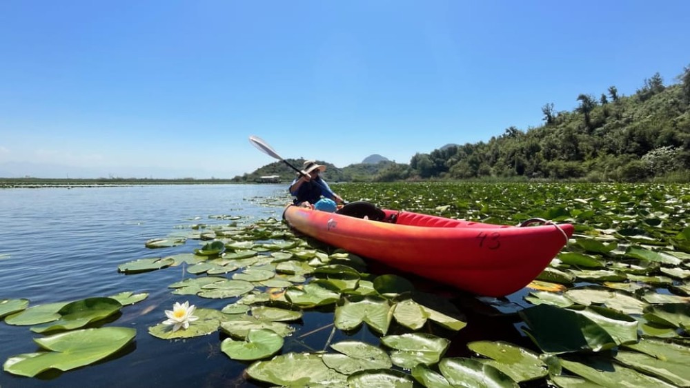 Skadar Lake: Guided tour on Kayak or Paddle board | ®ExcursionMania