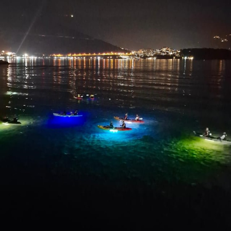 Budva: Night Lights Kayak and SUP Adventure | ®ExcursionMania