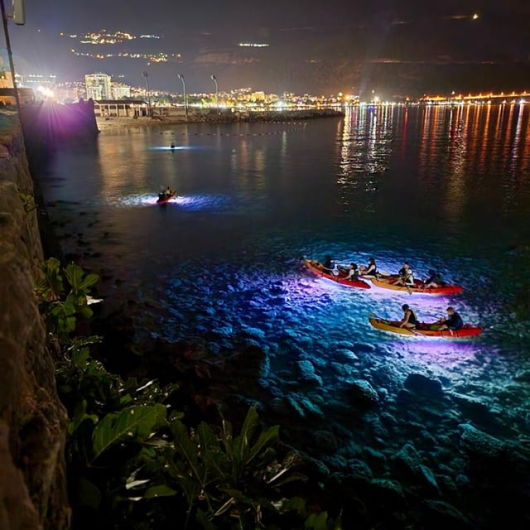 Budva: Night Lights Kayak and SUP Adventure | ®ExcursionMania