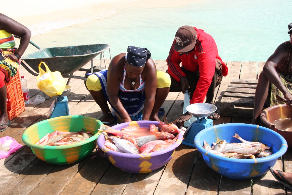 Private tour: Explore Santiago Island | ®ExcursionMania