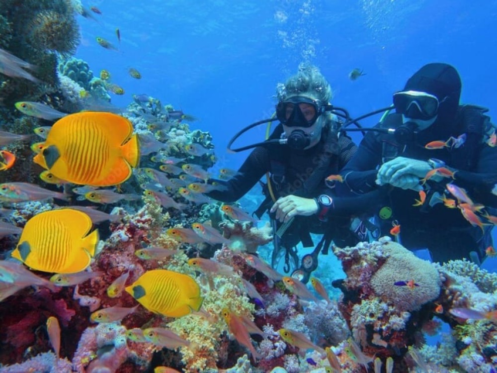 Phuket: Racha Island and Coral Islands  Scuba Beach Dive | ®ExcursionMania