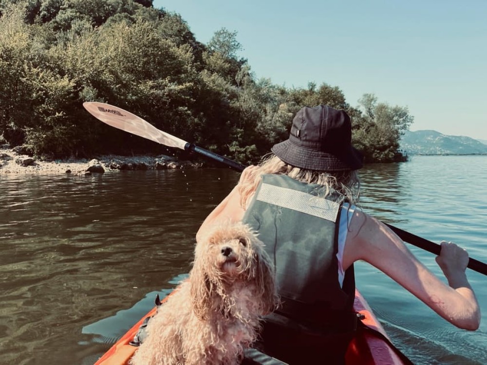 Explore Skadar Lake: SUP & Kayak Rentals in Montenegro | ®ExcursionMania