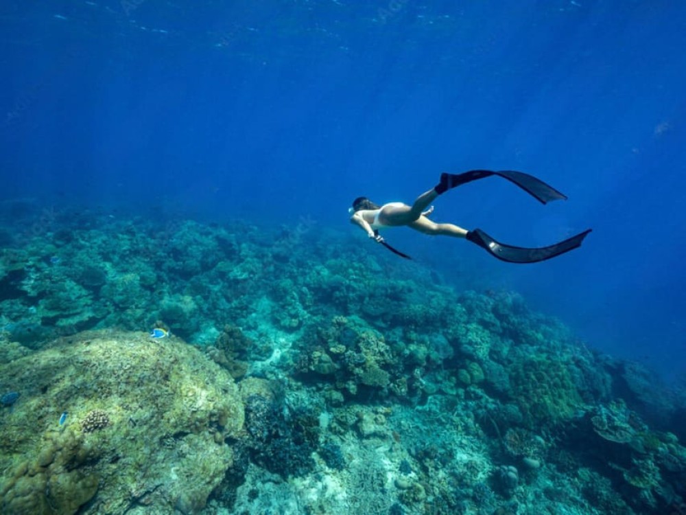 Phuket: Surin Islands Day Tour by Speedboat | ®ExcursionMania