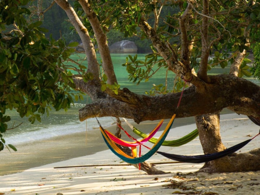 Phuket: Surin Islands Day Tour by Speedboat | ®ExcursionMania