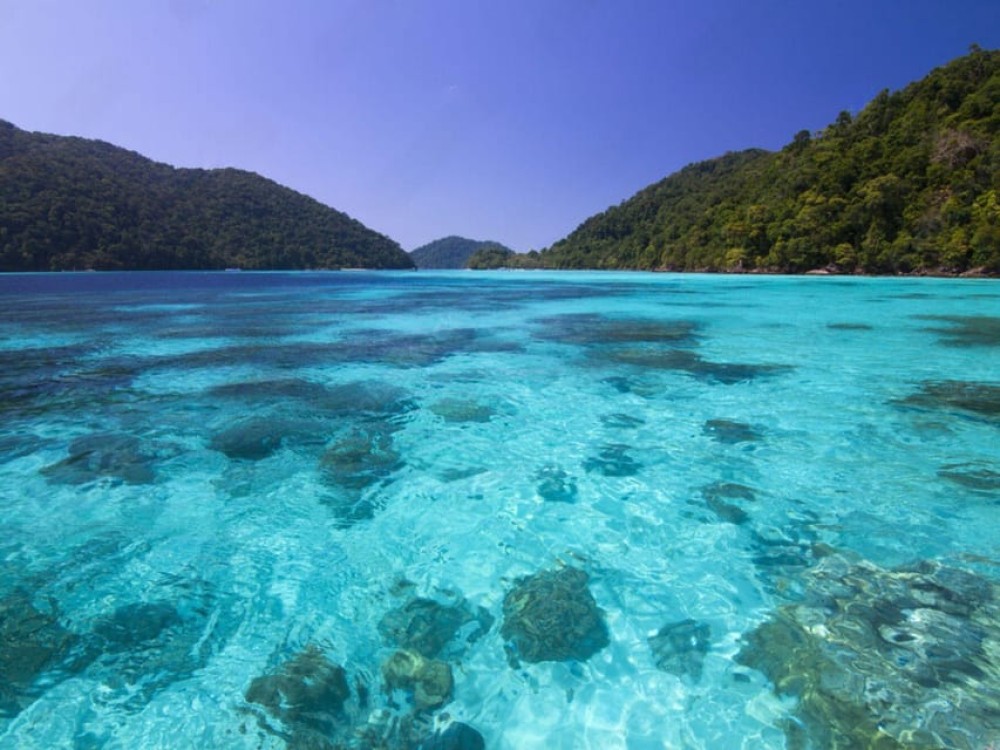 Phuket: Surin Islands Day Tour by Speedboat | ®ExcursionMania