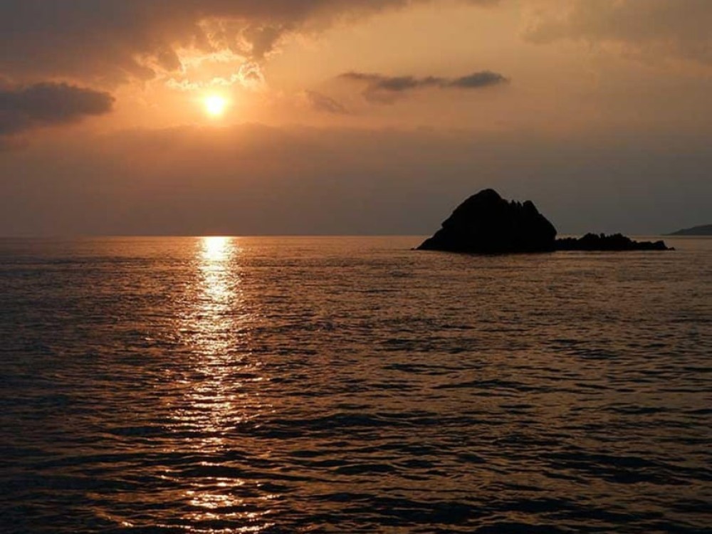 Phuket: Coral Island Snorkeling and Sunset Catamaran Cruise | ®ExcursionMania