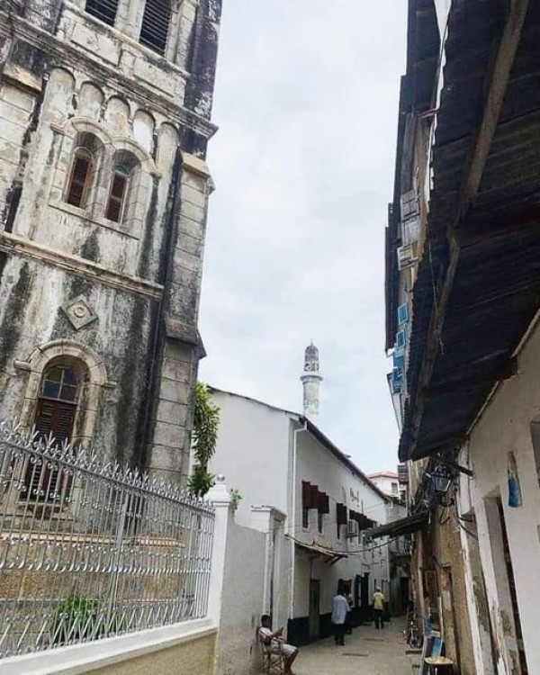 Zanzibar: Stone town Insights & Jozani forest Exploration | ®ExcursionMania