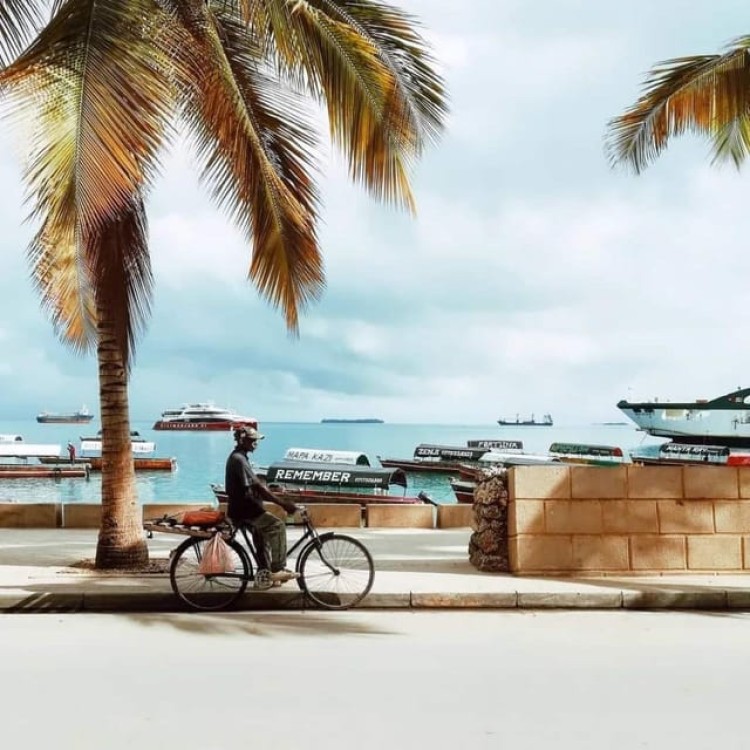 Zanzibar: Spice Tour  Stone Town Walking Tour | ®ExcursionMania