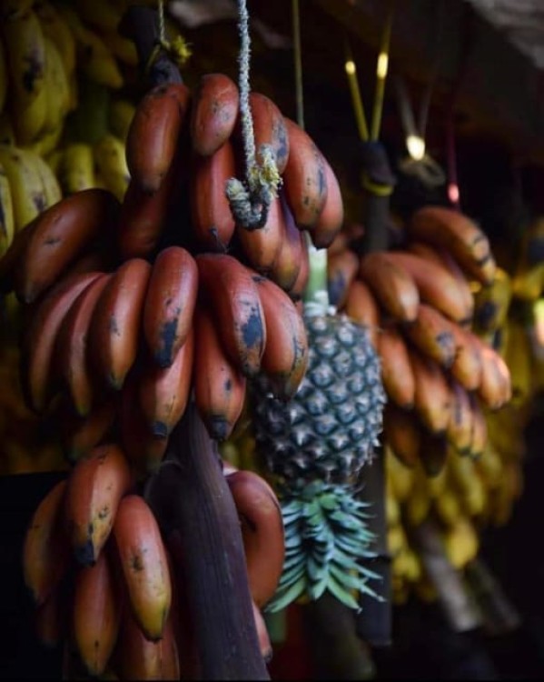 Zanzibar: Spice Tour  Stone Town Walking Tour | ®ExcursionMania