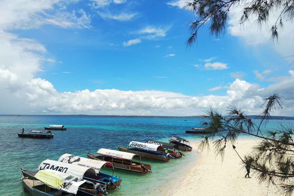 Zanzibar: Prison Island and Nakupenda Boat Trip with Lunch | ®ExcursionMania