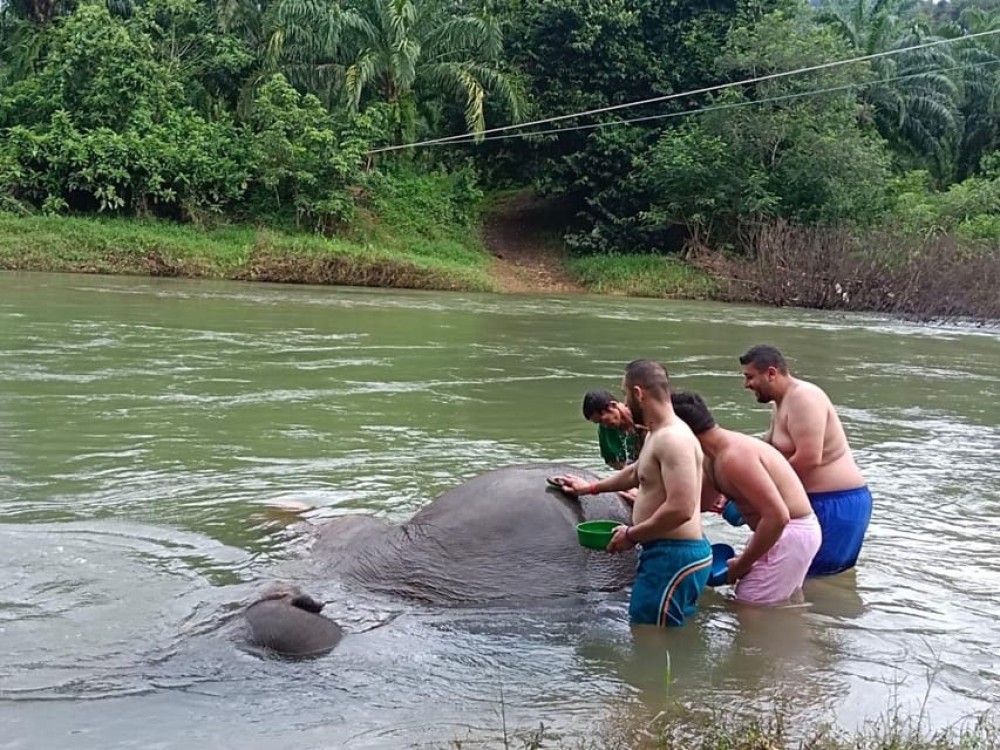 Phuket: Khao Sok 3 Day 2 Night Adventure Escape with 7 Meals | ®ExcursionMania