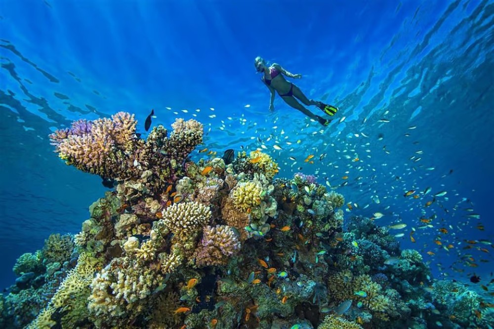 Hurghada: Luxury Private Yacht with optional Lunch & Drinks | ®ExcursionMania