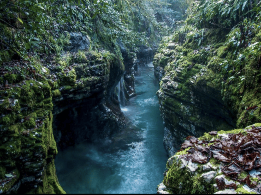 From Batumi: Martvili Canyon and Prometheus Cave Tour | ®ExcursionMania