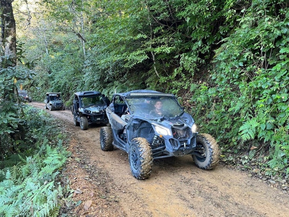 Batumi: Mtirala ATV, Buggy and Horse Riding Adventure Trip | ®ExcursionMania