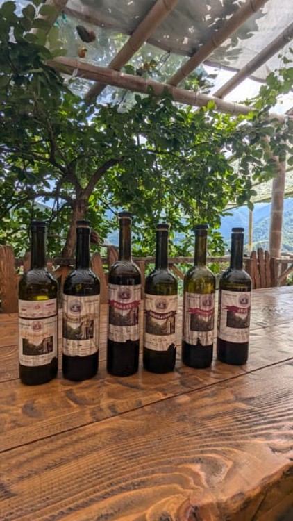 Wine & Dine Tour To Batumi Waterfalls - Mountainous Adjara | ®ExcursionMania