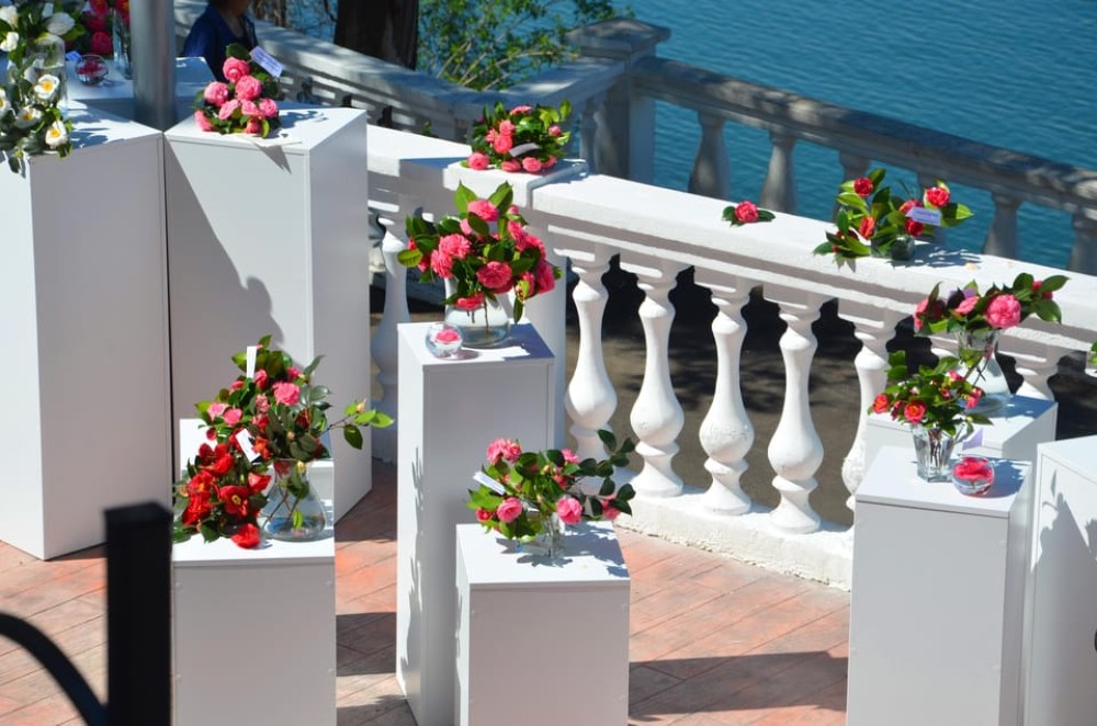 Batumi: Botanical Garden Petra Fortress and Miniatures Park | ®ExcursionMania