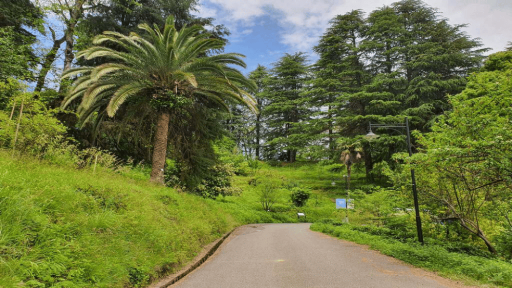 Batumi: Botanical Garden Petra Fortress and Miniatures Park | ®ExcursionMania