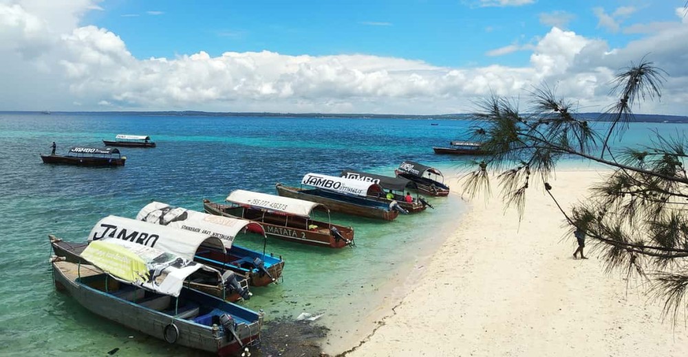Zanzibar: Prison Island Private Half-Day Tour | ®ExcursionMania