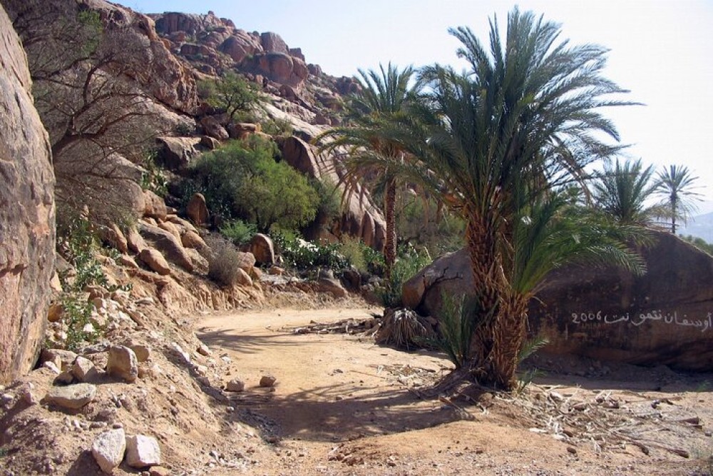 Agadir Day Trip To Tafraoute | ®ExcursionMania