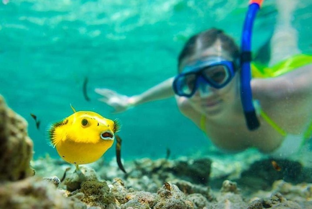 From Nungwi: Safari Blue Snorkeling Tour with Lunch | ®ExcursionMania
