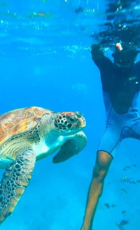 São Pedro Snorkel and Swim with Sea Turtles | ®ExcursionMania