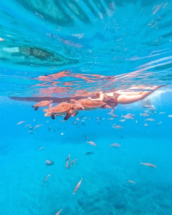 São Pedro Snorkel and Swim with Sea Turtles | ®ExcursionMania