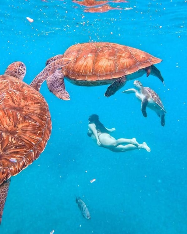 São Pedro Snorkel and Swim with Sea Turtles | ®ExcursionMania